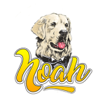 Noah