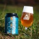 Bere artizanală Mad Scientist - Lord of the Rings: White Tree Pale