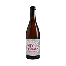 Bere craft Voyage Kombucha - Hey Yulan